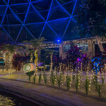 Living with the Land: Glimmering Greenhouses