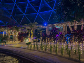 Living with the Land: Glimmering Greenhouses