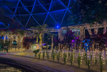 Living with the Land: Glimmering Greenhouses
