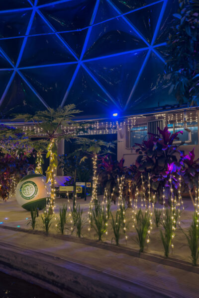 Living with the Land: Glimmering Greenhouses